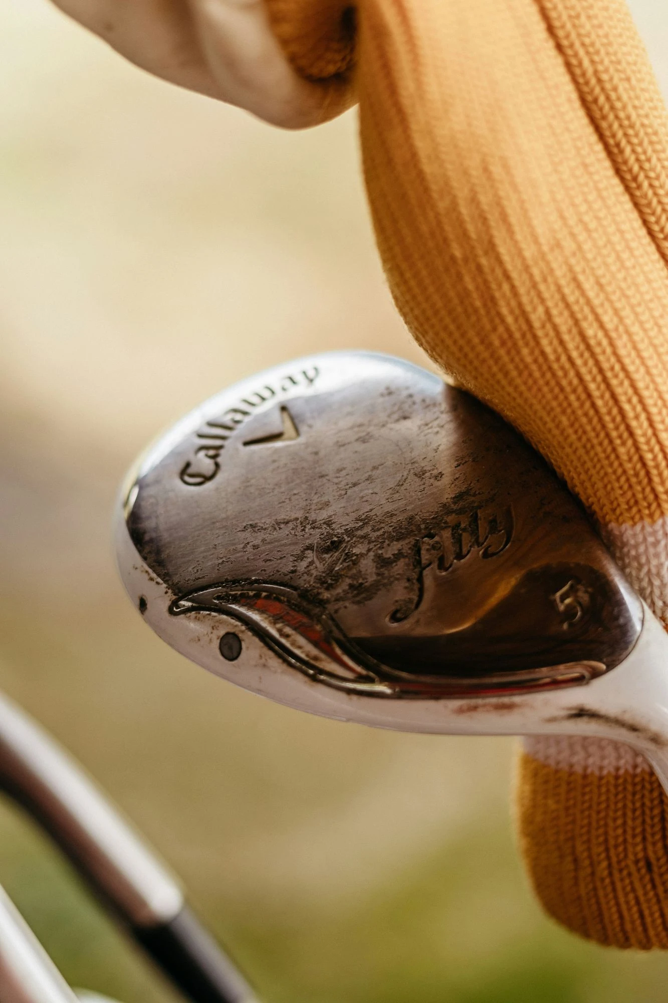 banner-woods